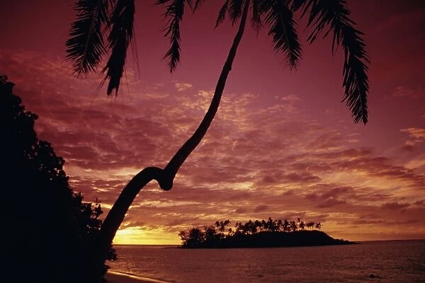 Silhouettes of palm trees and desert island at sunrise, Rarotonga, Cook Islands
