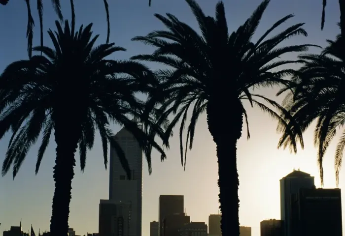 Framed Print : Silhouettes of palms and city buildings from Docklands, Melbourne, Victoria, Australia Framed Print : Silhouettes of palms and city buildings from Docklands, Melbourne, Victoria, Australia