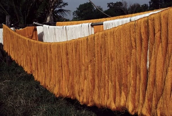 Silk drying