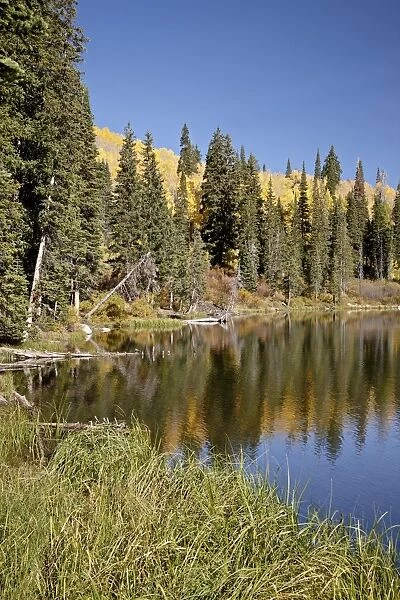 Silver Lake in the fall, Wasatch-Cache National Forest, Utah, United States of America, North America