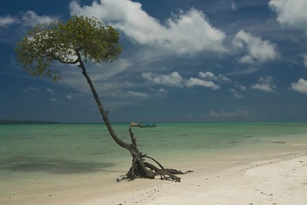 Silver sand beach with turquoise sea, Havelock Island, Andaman Islands
