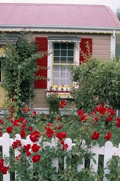 Single storey house and rose covered fence