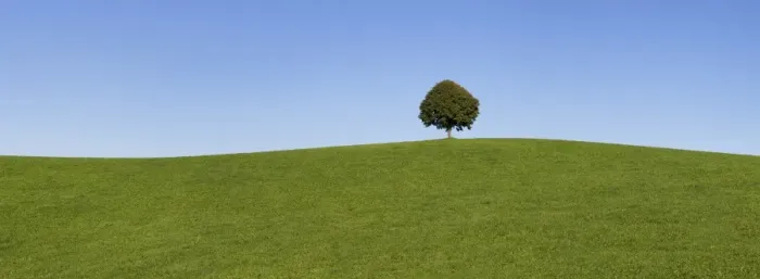 Framed Print : Single tree on a hill, Allgau, Swabia, Baden Wurttemberg, Germany, Europe Framed Print : Single tree on a hill, Allgau, Swabia, Baden Wurttemberg, Germany, Europe