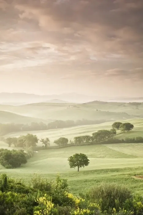 Framed Print : Single tree at sunrise, Val D Orcia, UNESCO World Heritage Site, Province Siena, Tuscany, Italy, Europe Framed Print : Single tree at sunrise, Val D Orcia, UNESCO World Heritage Site, Province Siena, Tuscany, Italy, Europe