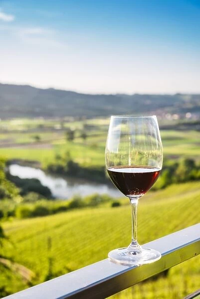 Single wine glass above vineyards, Piedmont, Italy, Europe