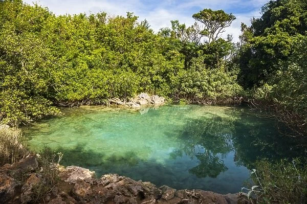 Sinkhole in the blue hole park, Bermuda, North America
