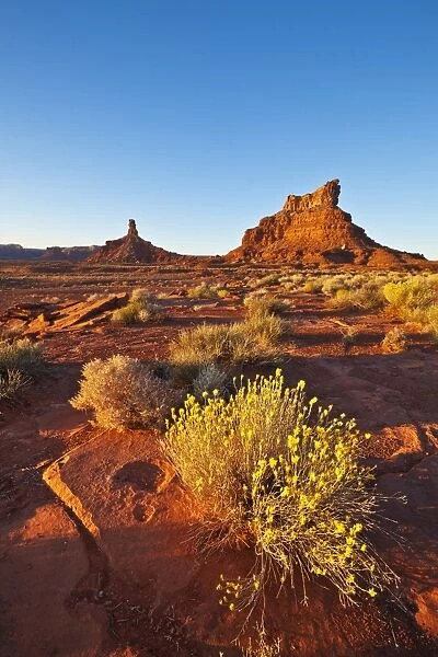 Sitting Hen Butte and Rooster Butte at sunset, Valley of the Gods, Utah, United States of America, North America