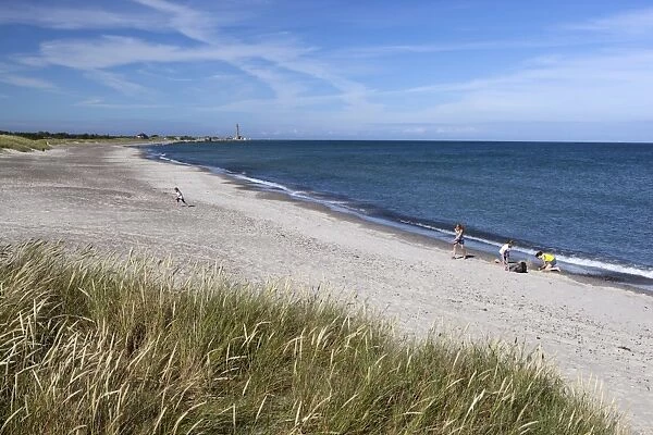Skagen Sonderstrand beach, Skagen, Jutland, Denmark, Scandinavia, Europe