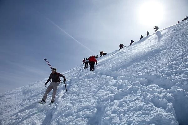 Ski touring in the Alps, ascent to Punta San Matteo, on the border of Lombardia and Trentino-Alto Adige, Italy, Europe