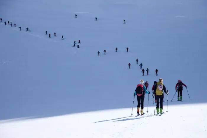 Framed Print : Ski touring in the Alps, ascent to Punta San Matteo, on the border of Lombardia and Trentino-Alto Adige, Italy, Europe Framed Print : Ski touring in the Alps, ascent to Punta San Matteo, on the border of Lombardia and Trentino-Alto Adige, Italy, Europe