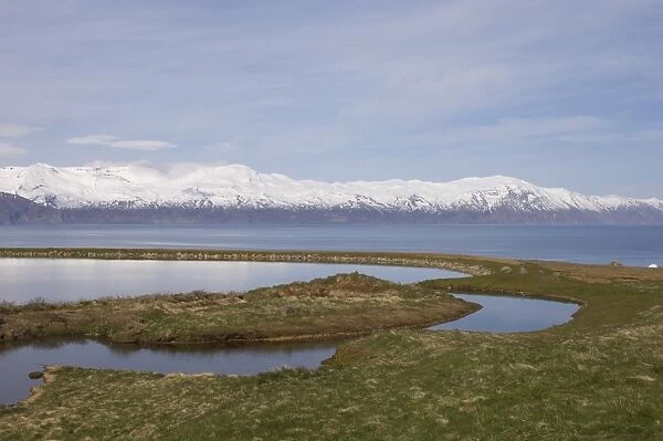 Skjalfandi bay, Husavik, Iceland, Polar Regions