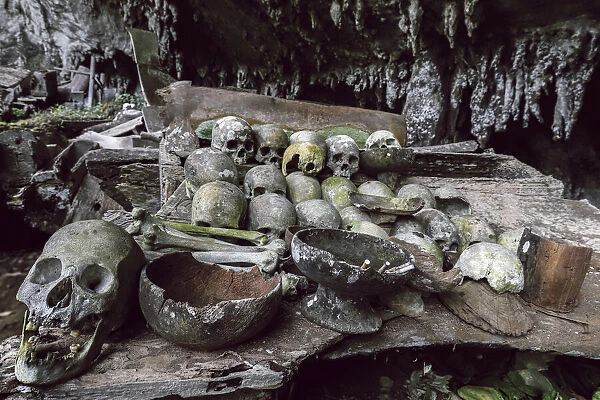 Skulls in 700 year old burial cave at Lombok Parinding, north of Rantepao, Lombok Parinding, Toraja, South Sulawesi, Indonesia, Southeast Asia, Asia