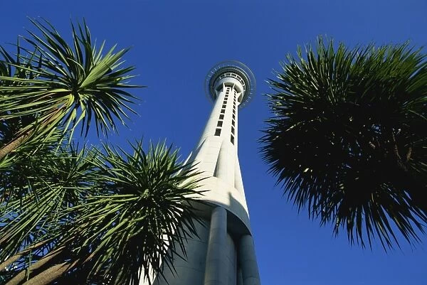 The Sky City Tower, Auckland, North Island, New Zealand, Pacific