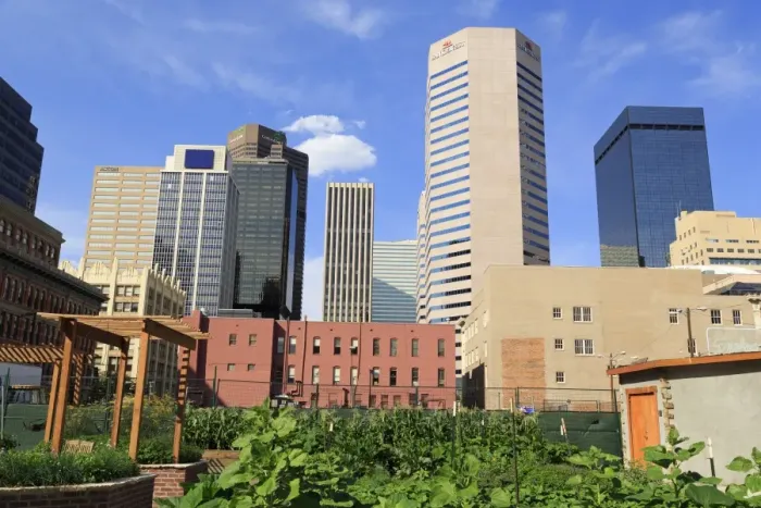 Framed Print : Skyline, Denver, Colorado, United States of America, North America