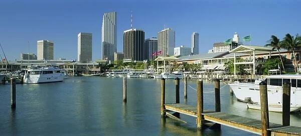 Skyline, Miami City