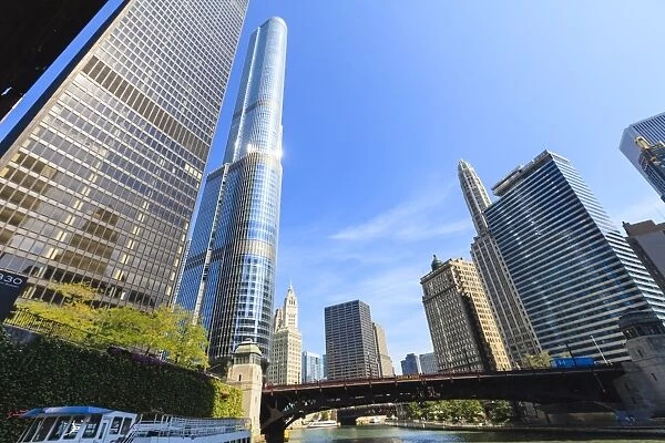 Skyscrapers along the Chicago River, including Trump Tower, Chicago, Illinois, United States of America, North America