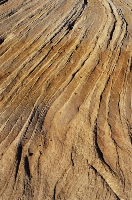 Framed Print : Slickrock, Zion National Park Framed Print : Slickrock, Zion National Park