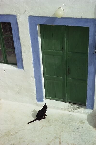 A small black cat waiting at a traditionally decorated doorway