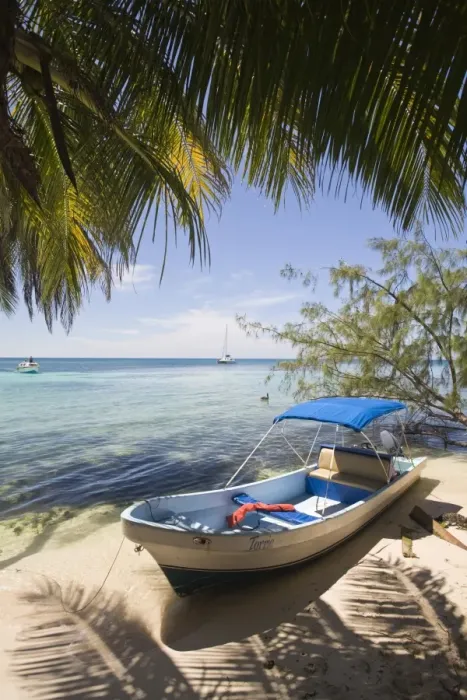 Framed Print : Small boat on beach under coconut palm, Ranguana Caye, Belize, Central America Framed Print : Small boat on beach under coconut palm, Ranguana Caye, Belize, Central America