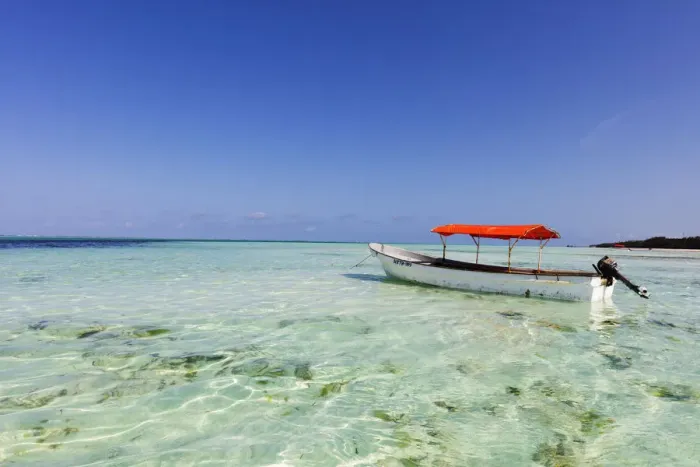 Framed Print : Small boat in crystal clear water, Pingwe, Island of Zanzibar, Tanzania, East Africa Framed Print : Small boat in crystal clear water, Pingwe, Island of Zanzibar, Tanzania, East Africa