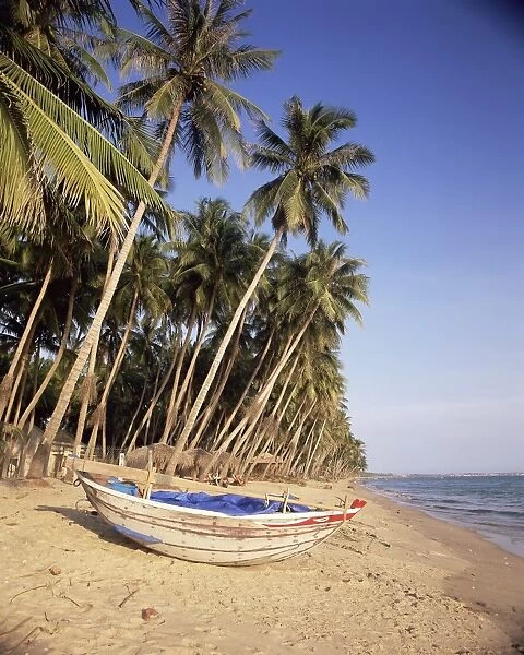 Small boat on palm fringed beach