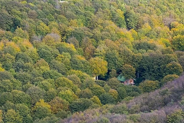 Small house in the forest in autumn, Monte Cucco Park, Apennines, Umbria, Italy, Europe