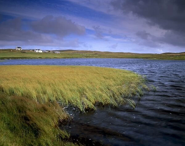Small loch and houses near Greenland (Burraland) near Walls