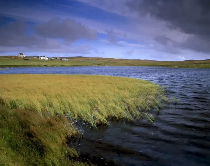 Framed Print : Small loch and houses near Greenland (Burraland) near Walls