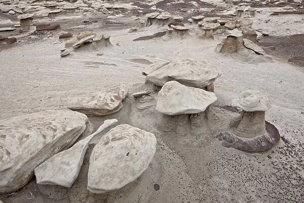 Small mushroom formations in the badlands, Bisti Wilderness, New Mexico, United States of America, North America