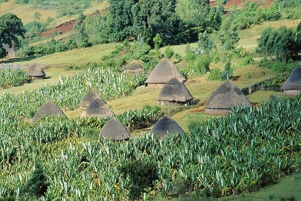 Small village in Hosana region, Shoa province, Ethiopia, Africa