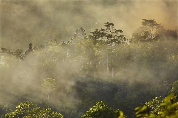 Smoke from a fire drifts across rainforest, near San Juan, Siquijor, Philippines