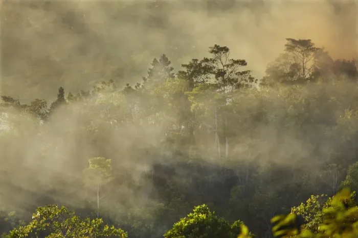 Framed Print : Smoke from a fire drifts across rainforest, near San Juan, Siquijor, Philippines Framed Print : Smoke from a fire drifts across rainforest, near San Juan, Siquijor, Philippines