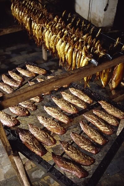 Smoked herring, also known as little bornholmers, in smoking house, Bornholm Island