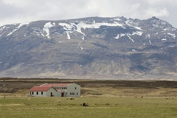 Snaefellsnes Peninsula, Iceland, Polar Regions