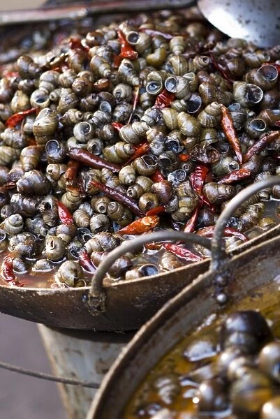 Snails with chillies, a local delicacy, market, Lanzhou, Gansu, China, Asia