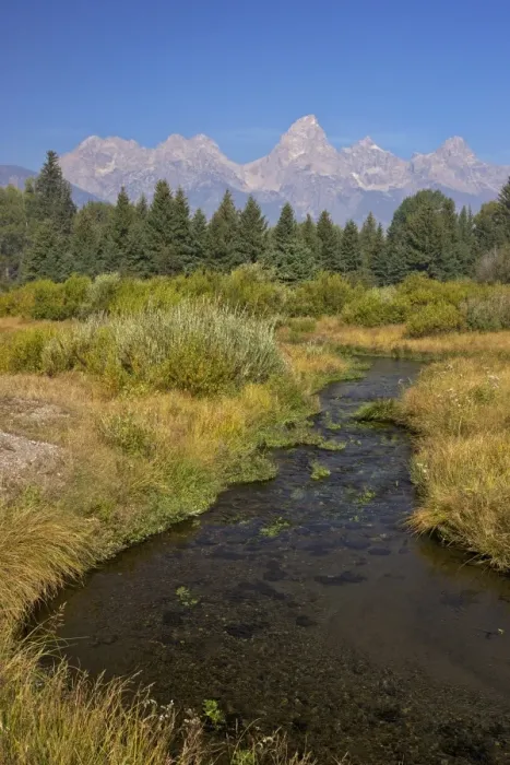 Framed Print : Snake River at the Schwabacher Landing, Grand Teton National Park, Wyoming, United States of America, North America