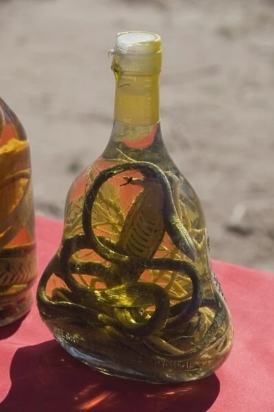 Snakes in bottles of spirits thought to have medicinal properties, Laos
