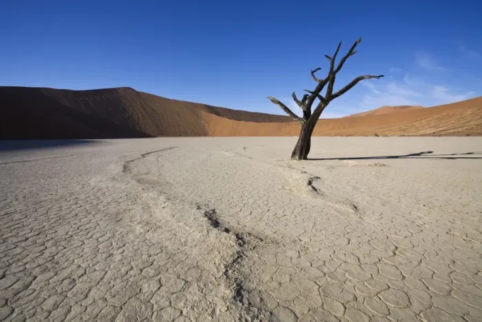 Framed Print : Snaking line in the earth, Dead Vlei, Sossusvlei, Namib-Naukluft Park, Namib Desert Framed Print : Snaking line in the earth, Dead Vlei, Sossusvlei, Namib-Naukluft Park, Namib Desert