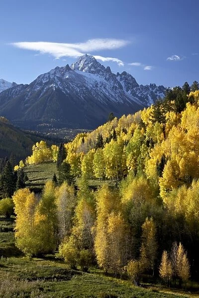Sneffels Range with fall colors near Dallas Divide, Uncompahgre National Forest