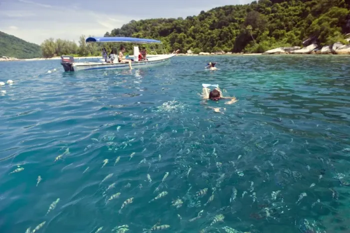 Framed Print : Snorkeling trip, Perhentian Islands, Terengganu State, Malaysia, Southeast Asia, Asia Framed Print : Snorkeling trip, Perhentian Islands, Terengganu State, Malaysia, Southeast Asia, Asia