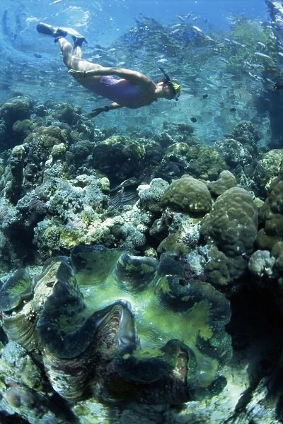 Snorkeller hangs above the reef in Marovo Lagoon