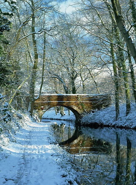 Snow on the Basingstoke Canal, Staceys bridge and towpath, Winchfield