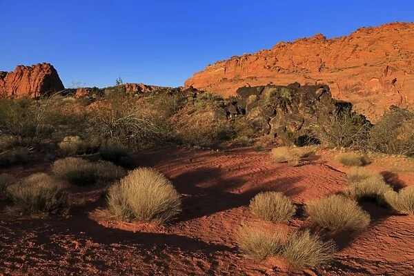 Snow Canyon State Park, St. George, Utah, United States of America, North America