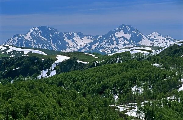 Snow capped mountains, Biogradska National Park, Eastern Highlands, Montenegro, Europe