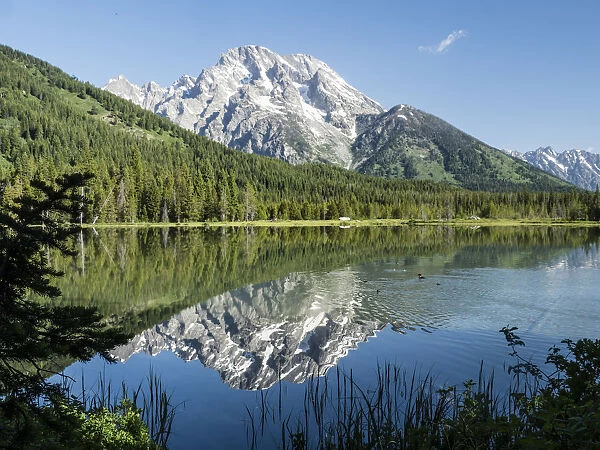 Snow-capped mountains reflected in the calm waters of String Lake, Grand Teton National
