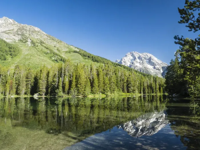 Framed Print : Snow-capped mountains reflected in the calm waters of String Lake, Grand Teton National Framed Print : Snow-capped mountains reflected in the calm waters of String Lake, Grand Teton National