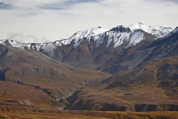 Snow-capped mountains and tundra in fall color, Denali National Park and Preserve
