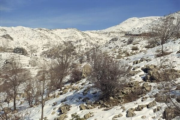 Snow covered landscape on Mount Hermon, Israel, Middle East