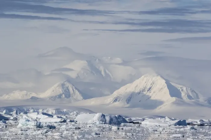Framed Print : Snow-covered mountains line the ice floes in Penola Strait, Antarctica, Polar Regions Framed Print : Snow-covered mountains line the ice floes in Penola Strait, Antarctica, Polar Regions