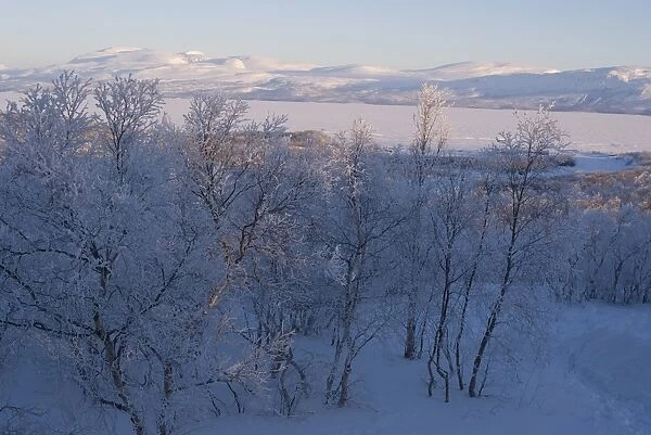 Snow-covered scenery, Abisko, Sweden, Scandinavia, Europe